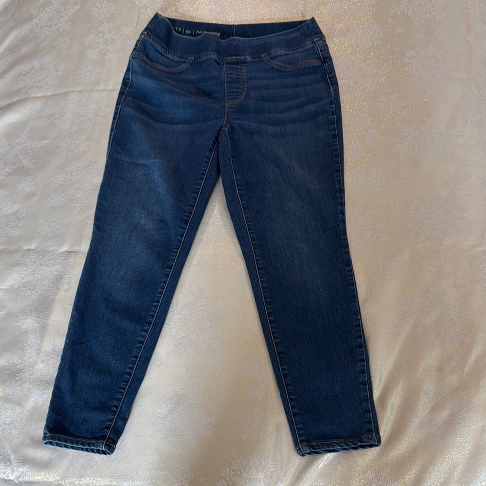 Talbots Blue Skinny Jeans with Stretchy Comfort